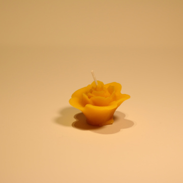 Kerze Rose